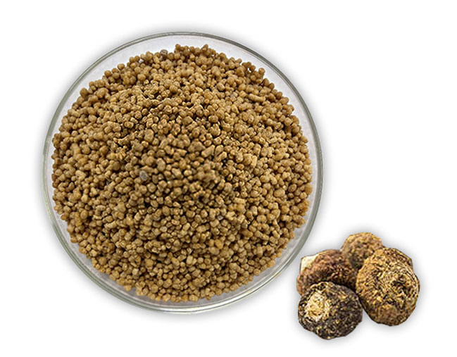 innovation-organic-maca-crisp