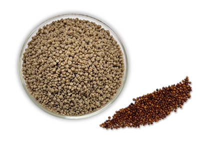 naturik_superfoods-red-quinoa-crisp
