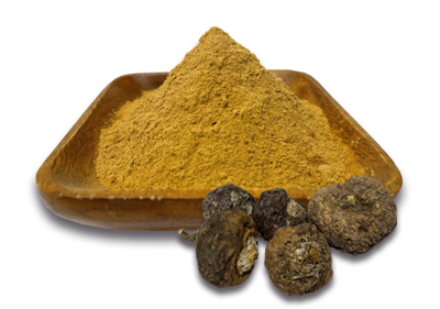 naturik_superfoods-redmacagelatinizedpowder-pic